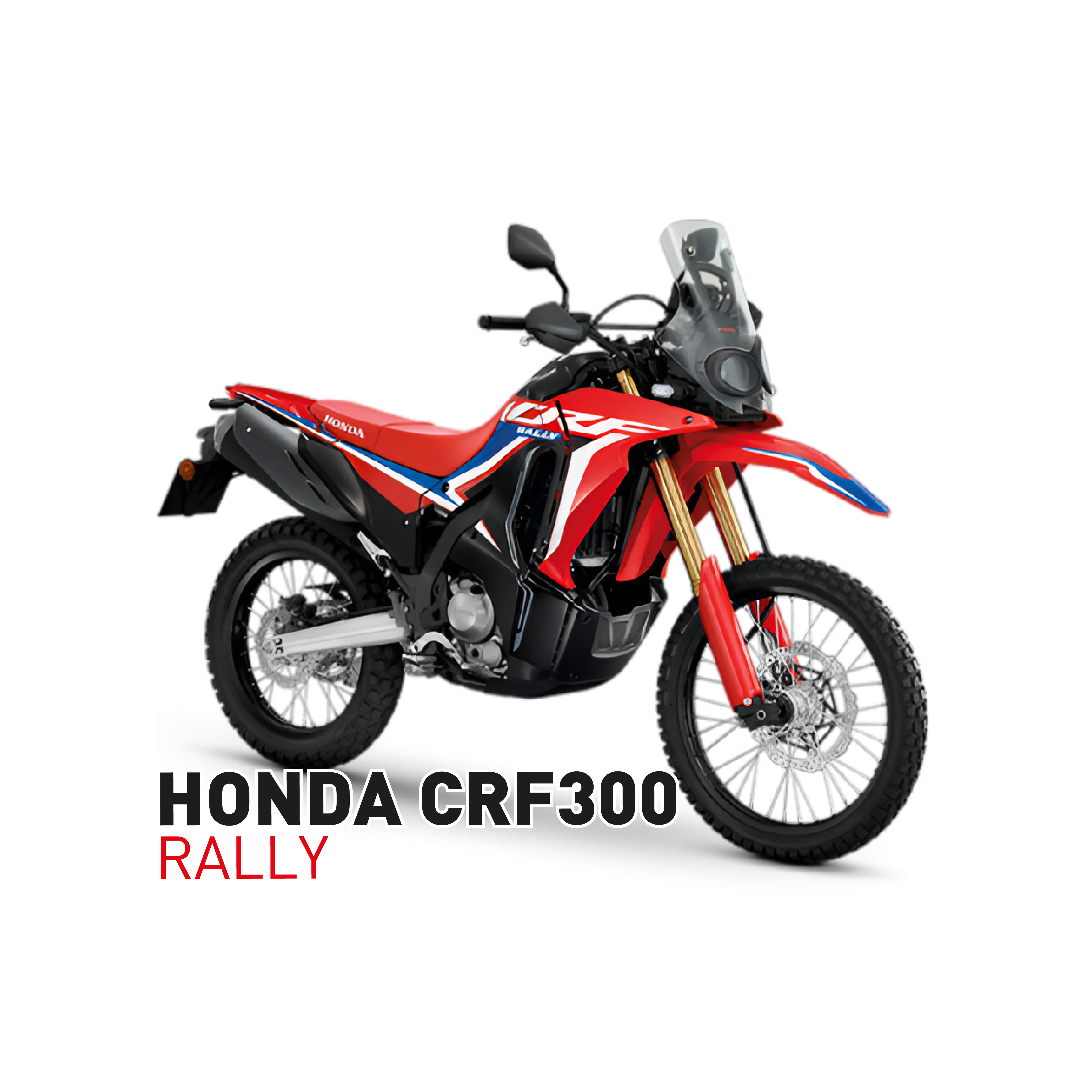 CRF300 MTCR (1)